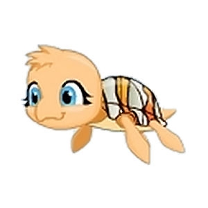 Clownfish Turtle